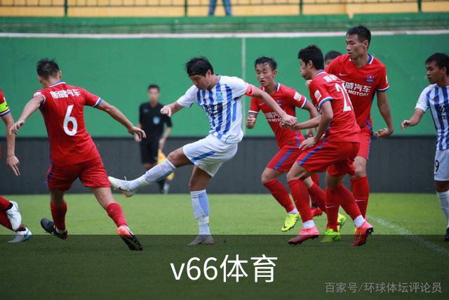 v66体育公司简介配图